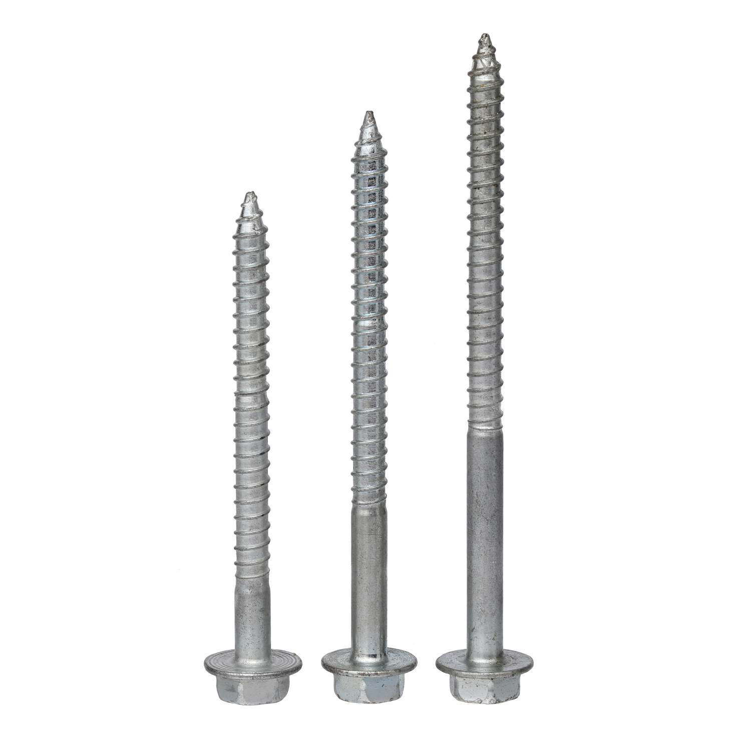 Wood Screw