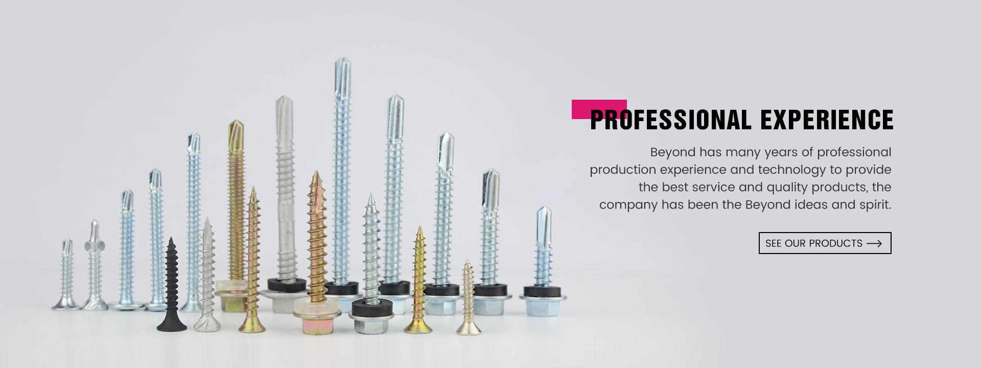 Beyond Outdoor Self Tapping Screw Manufacturer